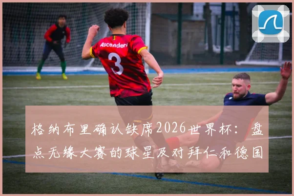 格纳布里确认缺席2026世界杯:盘点无缘大赛的球星及对拜仁和德国队的影响分析
