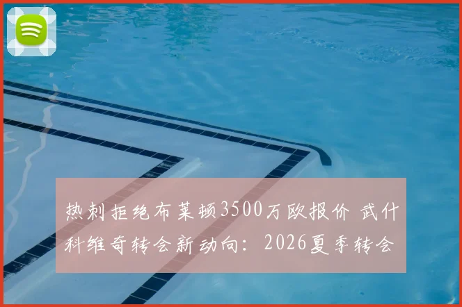 热刺拒绝布莱顿3500万欧报价 武什科维奇转会新动向：2026夏季转会市场最新分析